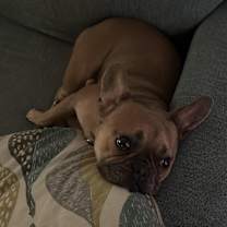 Thumbnail photo of Honey #2