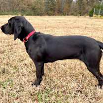 Thumbnail photo of Marsh #3