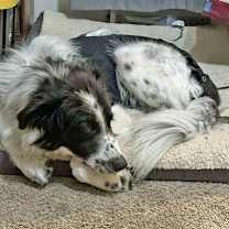 Thumbnail photo of Raine #4