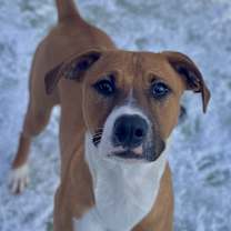 Thumbnail photo of Jasper #1