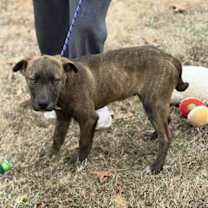 Thumbnail photo of Latte #2