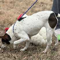 Thumbnail photo of Betsy #4