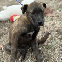 Thumbnail photo of Latte #4