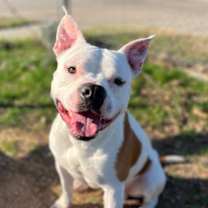 Thumbnail photo of spot #3