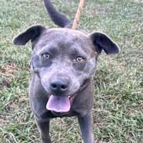 Thumbnail photo of JASMINE + #1