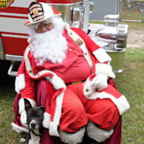 Thumbnail photo of Paws #3