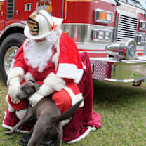 Thumbnail photo of JASMINE + #3