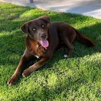 Thumbnail photo of PLUTO #2