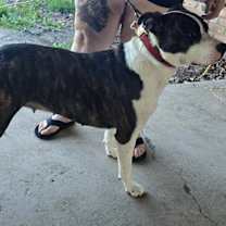 Thumbnail photo of AnaBelle #3