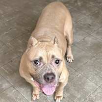 Thumbnail photo of Lyric #3