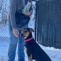 Thumbnail photo of Sheba #2