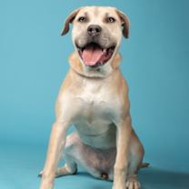 Thumbnail photo of Jenny #3