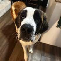 Thumbnail photo of Nora #1