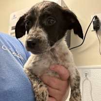 Thumbnail photo of Grace #2