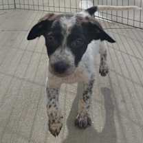 Thumbnail photo of Grace #3