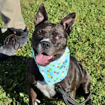 Thumbnail photo of Sissy #2