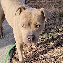 Thumbnail photo of Zara #2