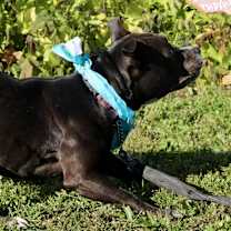 Thumbnail photo of Sissy #3