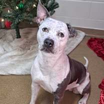 Thumbnail photo of Misty #1