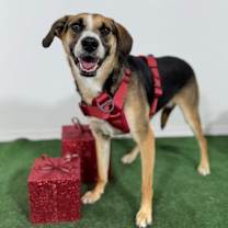 Thumbnail photo of Camila #1