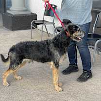 Thumbnail photo of Olaf #3