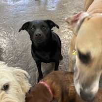 Thumbnail photo of Sophie #2