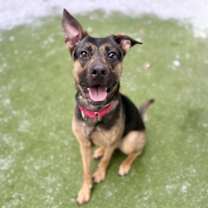 Thumbnail photo of Benji #2