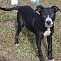 Thumbnail photo of EVER #4