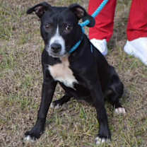 Thumbnail photo of EVER #2