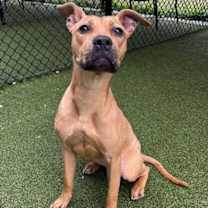 Thumbnail photo of Jellybean #3