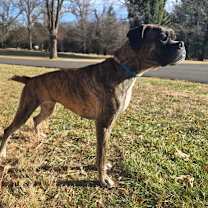 Thumbnail photo of Blair #2