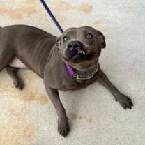 Thumbnail photo of Winnie #2