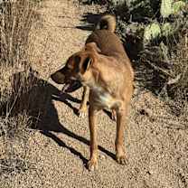 Thumbnail photo of Luna #2