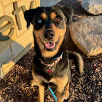 Thumbnail photo of Carmen #1