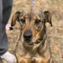 Thumbnail photo of Lulu #1