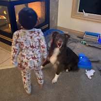 Thumbnail photo of Canela #2