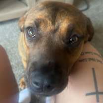 Thumbnail photo of Love #2