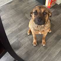 Thumbnail photo of Love #3