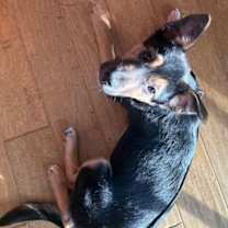 Thumbnail photo of Summit #2