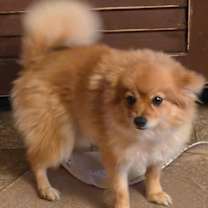 Thumbnail photo of Gina #4