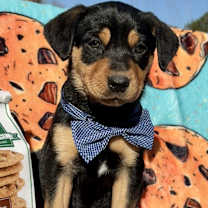 Thumbnail photo of Tate #4