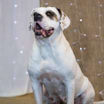 Thumbnail photo of Marianne #1