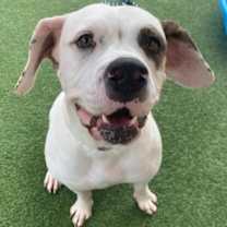 Thumbnail photo of Marianne #2