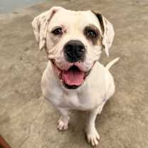 Thumbnail photo of Marianne #4