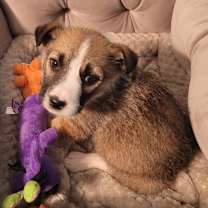 Thumbnail photo of George  #1