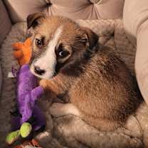 Thumbnail photo of George  #4