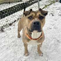 Thumbnail photo of Coltrane #1