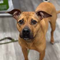 Thumbnail photo of Dutchess #2