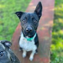 Thumbnail photo of Bessie #3