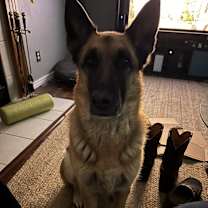 Thumbnail photo of Cali #3